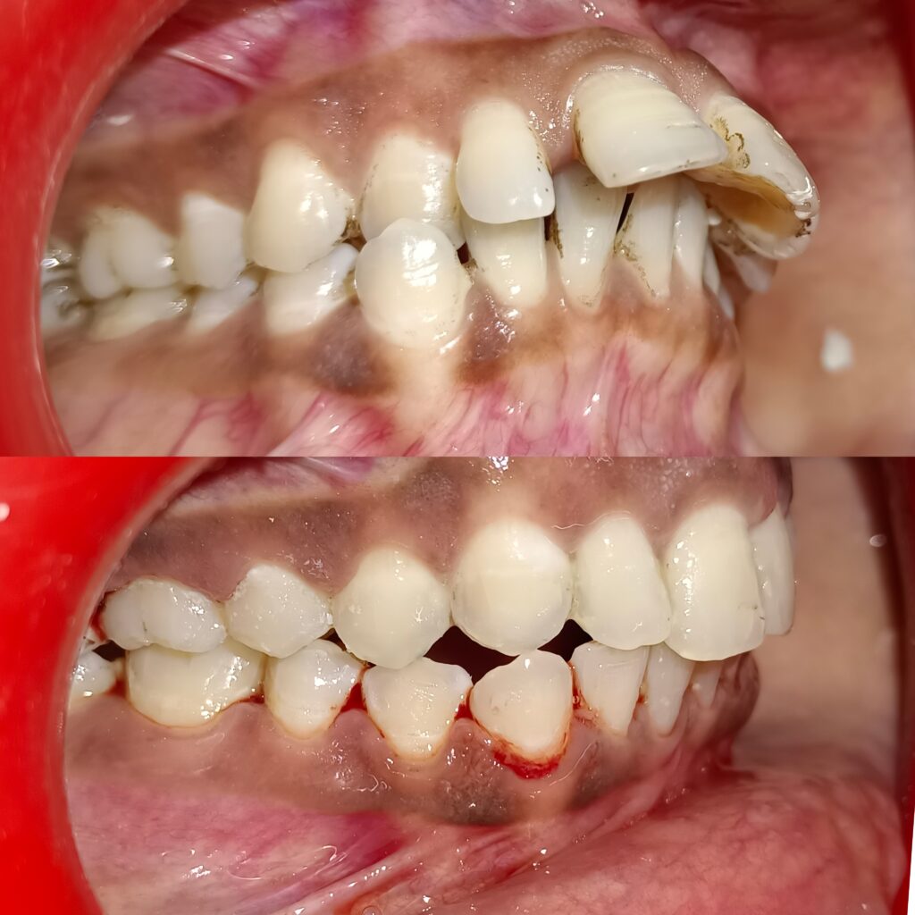 incollage 20241124 150555051